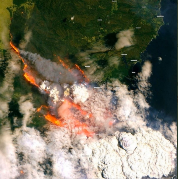 LamuYouth's tweet photo. #GLOBALALERT
1. 24 people dead
2. 8,000 koalas dead
3. 500M animals dead
4. More than 1400 homes destroyed
5. Over 5.5 million hectares burned
6. More than 10 million people in toxic level of bushfire smoke
Pray for Australia..
#PrayForAustralia #ClimateChangeIsReal https://t.co/NttGWDyQ9x
