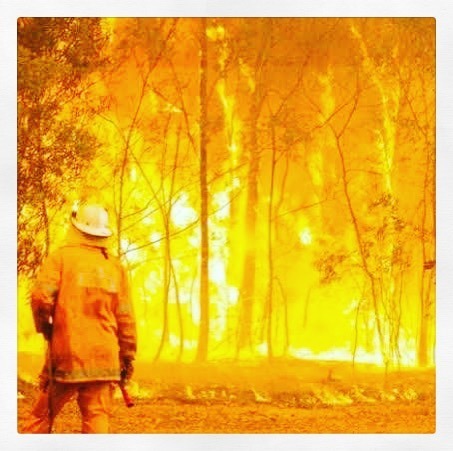 njbMelb's tweet photo. Not normally one to do this type of post but it’s astonishing to see the Australian people pull together to raise money, donate food &amp; necessaries for humans and animals alike. There are queues of people driving hours to donate, communities out searching… https://t.co/gg3vsE0bEs https://t.co/J1jtNF2JxG