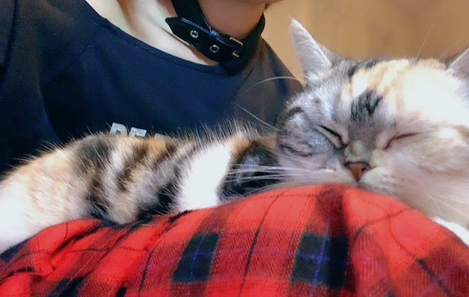 Twitterのコスプレ画像43