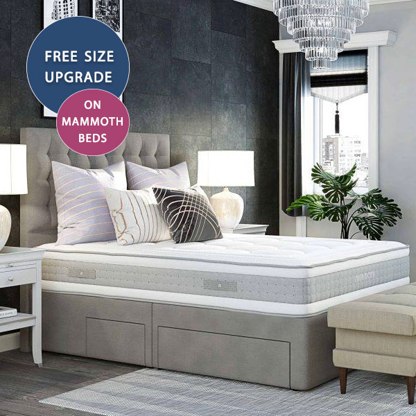 We really are kicking off #January with the deals of the decade!

Check out more fantastic offers like these in our #Cardiff store. Find us here > bit.ly/ElephantBeds

*psst hurry, these deals will not last long 😉