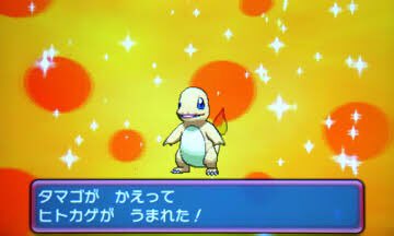 ポケモン アルファ サファイア フカマル 100 で最高の画像