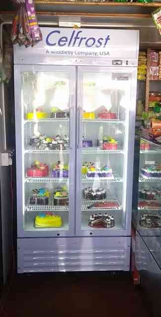 celfrost visi cooler