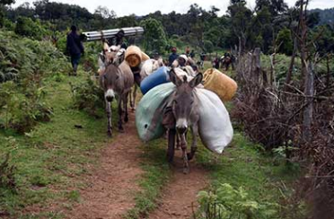 ntvkenya's tweet photo. AU agency threatens to report Kenya on the Mau evictions https://t.co/WO5sY8ldyX https://t.co/ZxeIXPt8pp