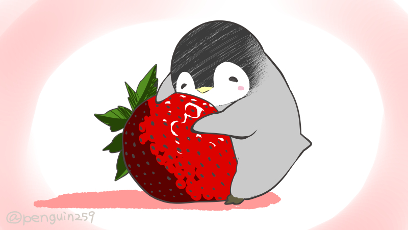 penguin food fruit strawberry bird no humans animal focus  illustration images