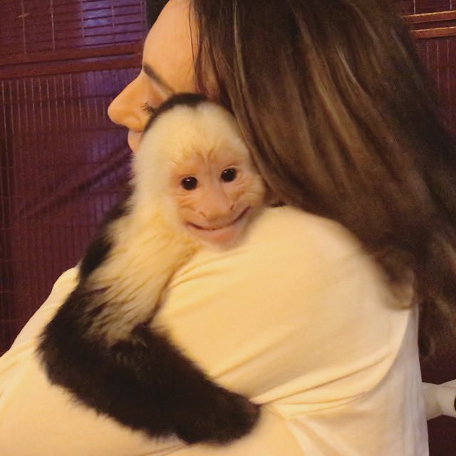 xanderthemonkey's tweet photo. New vlog up https://t.co/h2NRWifahn