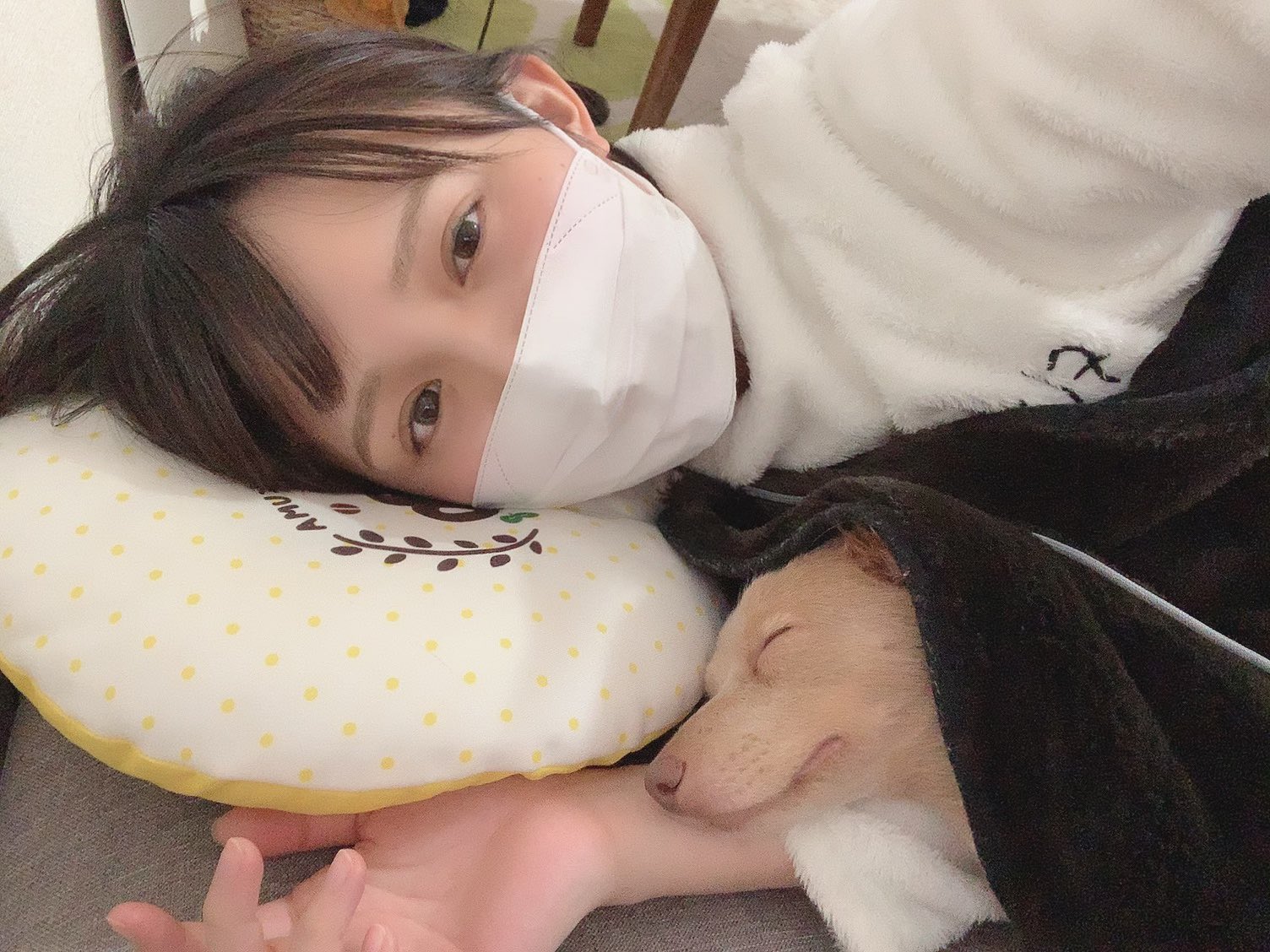 西明日香 寝正月してて 起きたらいつの間にかまめ太を腕枕してた 最初は足元で寝てたのに 寒かったからかモゾモゾと懐に入り込んで人の腕を枕にして カァ 可愛い 西明日香 寝正月してて 起きたらいつの間にかまめ太を腕枕してた 最初は足元で寝てたのに 寒かったからかモゾモゾと懐に入り込んで人の腕を枕にして カァ 可愛い