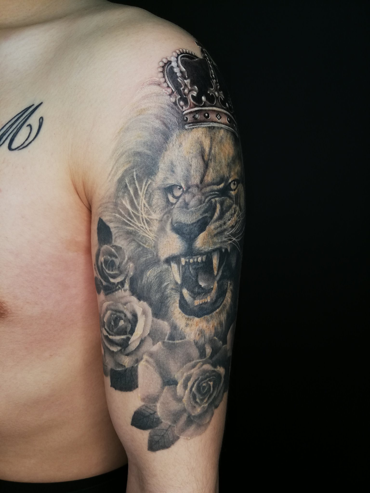 Twitter 上的 Silk Needle Tattoo Tomo 完成 ライオン リアリスティック Tomo Tomosilkneedletattoo Silkneedletattoo Tattoo タトゥー Japanesetattoo Irezumi 刺青 新潟 Niigatatattoo 新潟刺青 和彫 ライオン Lion 薔薇 Rose