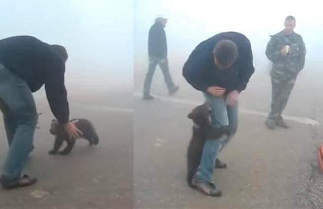 Зображення