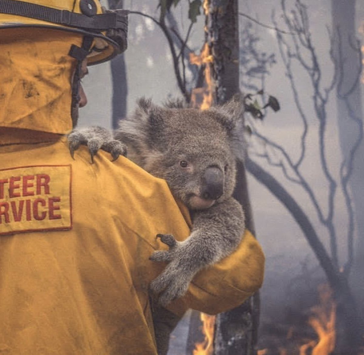 Barber_Edward_'s tweet photo. Pray for Australia. We need all the prayers we can get🙏🏼 https://t.co/aUEzISNoAW