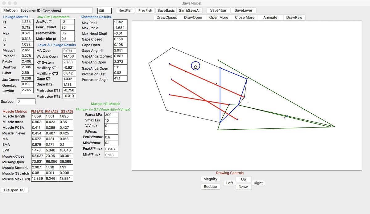 mwestneat's tweet image. OK #SICB2020 who is going to be up early to hear my talk about #morphometrics and #biomechanics of cranial linkages in fishes? JawsModel 2020 linkage apps at 8am in room 205 anybody? .... anybody?