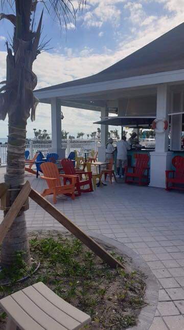 ScalaMsc's tweet photo. A strawl around #mscoceansay https://t.co/xtFsryEDr5
