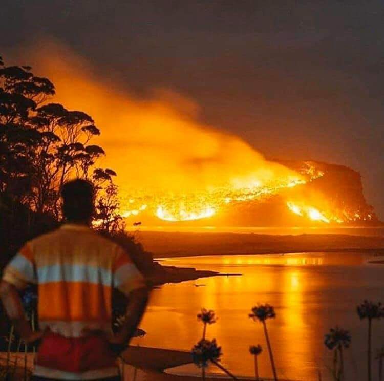 Ranim_Altakrity's tweet image. God Be with those animals
#australiafire #Environmentaldisasters #Naturaldisasters
#2020forestsfire