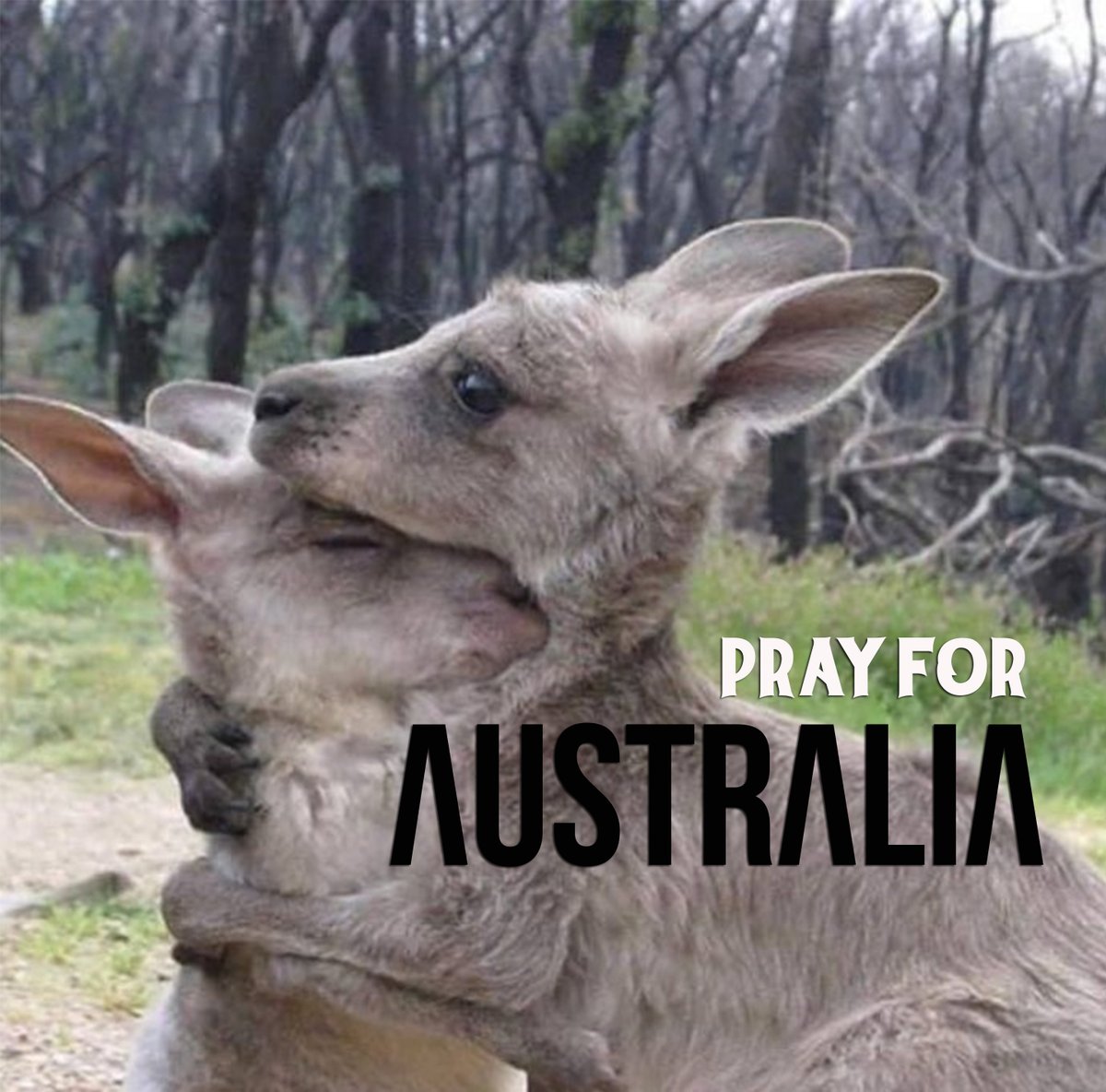damnbali's tweet photo. #PrayForAustralia https://t.co/qYxu0p3yaC