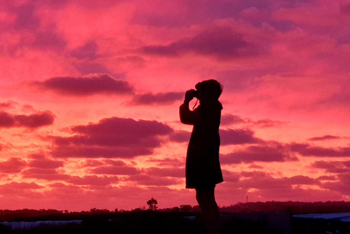 Mr 11 trying to capture the sunset