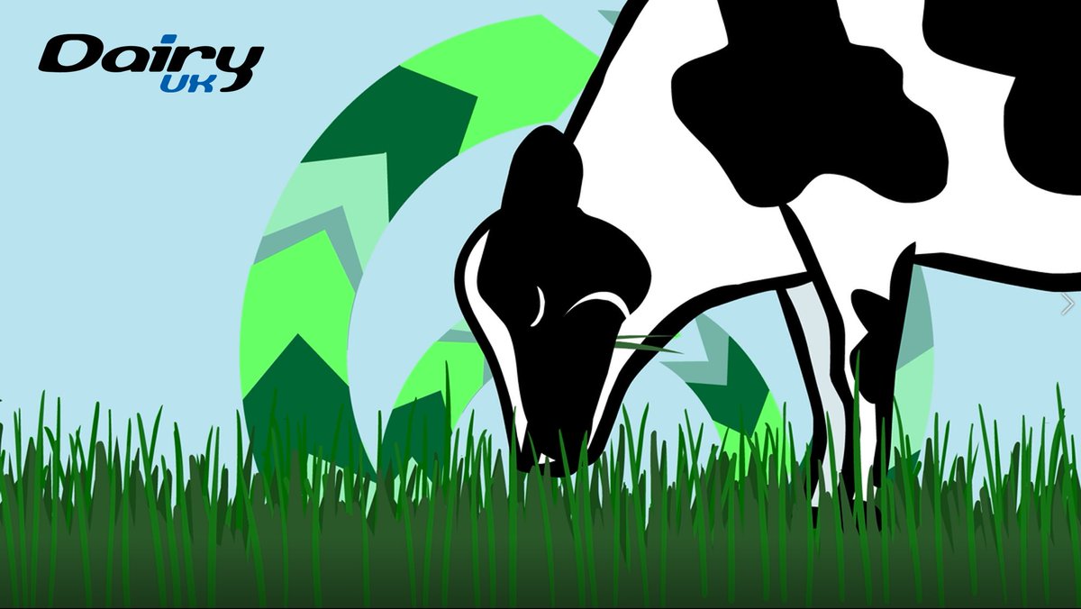 Dairy cows turn non-edible grasses into nutritious dairy products – just one of the many ways dairy farming contributes to a #sustainablefood system. Find out more in our new ‘Our Food and Our Planet’ video series here: youtube.com/watch?v=YvGjk0…  #sustainability #dairy