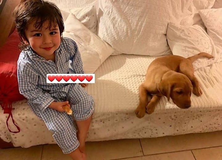 filmibeat's tweet image. Cuteness overloaded.. #taimuralikhan posing with a cute pup..
😘😘❤❤❤
#Timtim #Taimur #cute #starkid #adorable #puppy #Puppies #pup #Bollywood