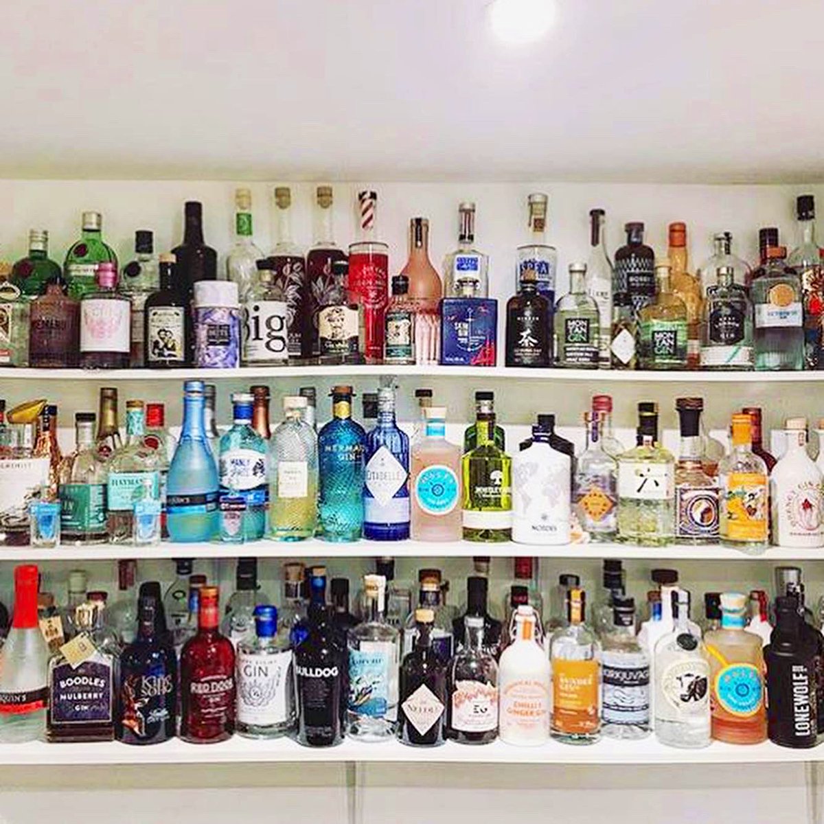 The Gin Guide tweet media