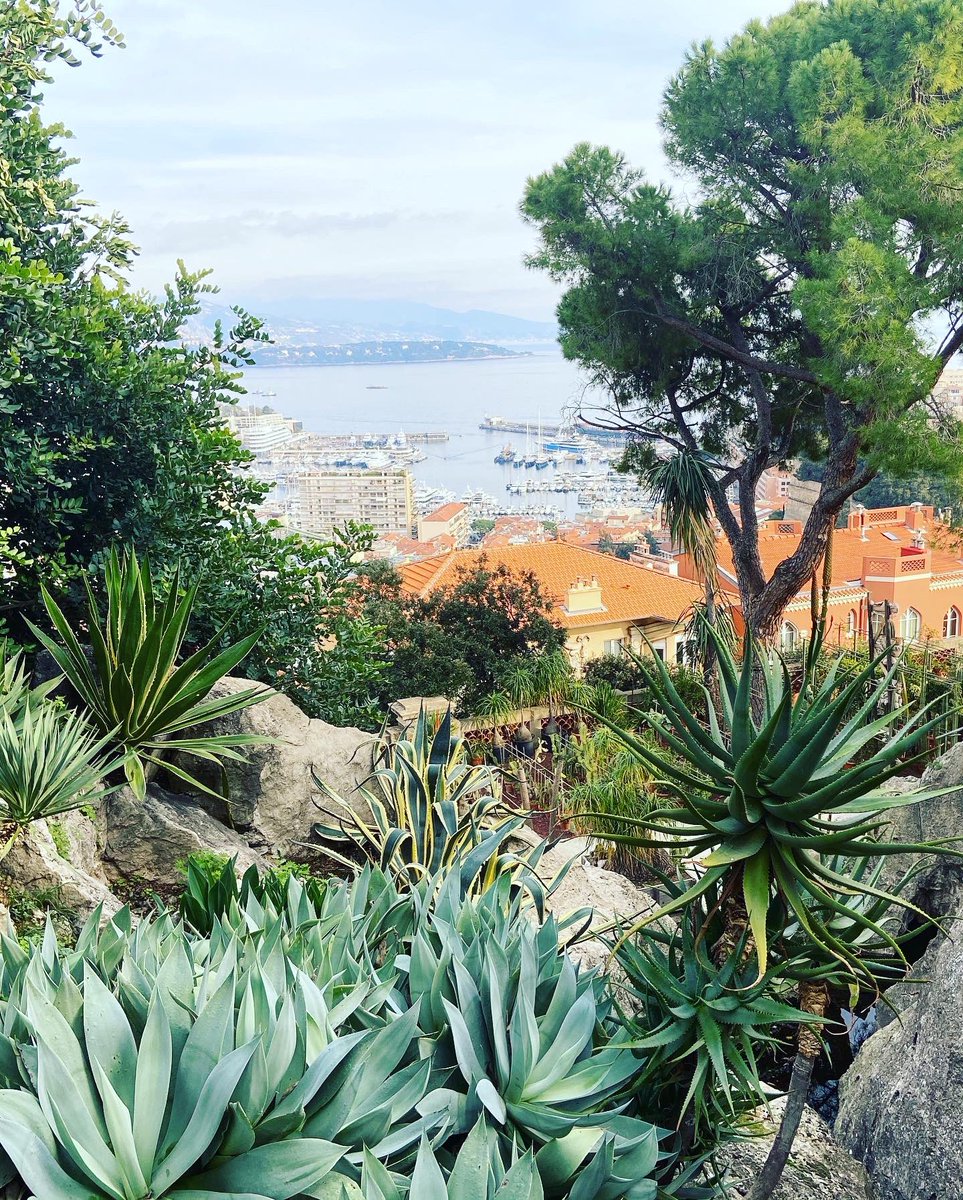 Quick visit to the #JardinExotique in #Monaco 🇲🇨
