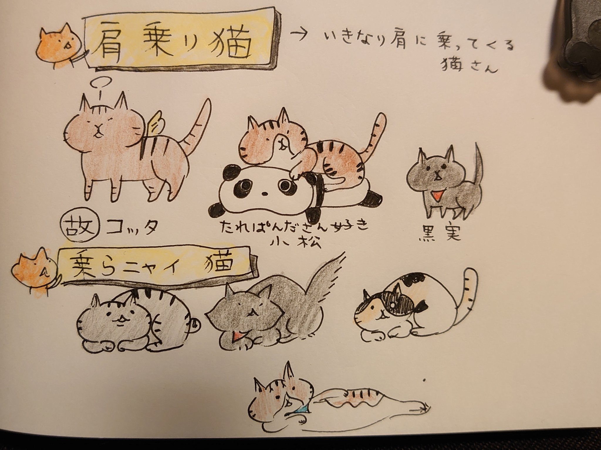 フミぼう企画 うちの肩に飛び乗ってくる猫さんと 乗ってこない猫さんの割合 １日１絵 保護猫 元野良猫 肩乗り猫 ねこ イラスト 猫好きさんと繫がりたい イラスト好きさんと繋がりたい 落書向上委員会 肩のり猫 黒猫 多頭飼い ねこ たれぱんだ