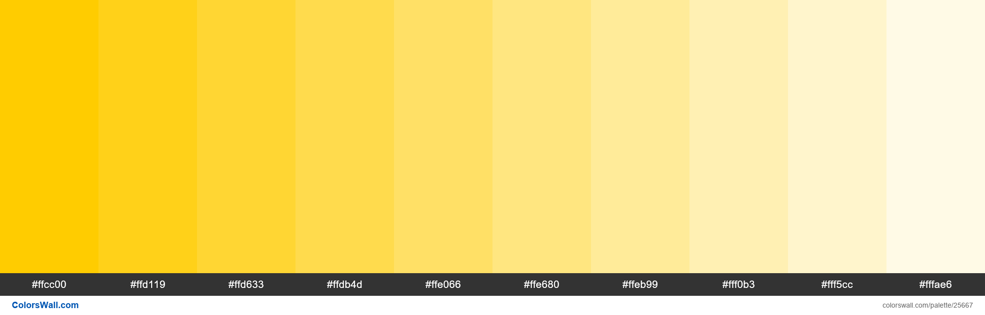 colorswall-on-twitter-tints-of-tangerine-yellow-color-ffcc00-hex