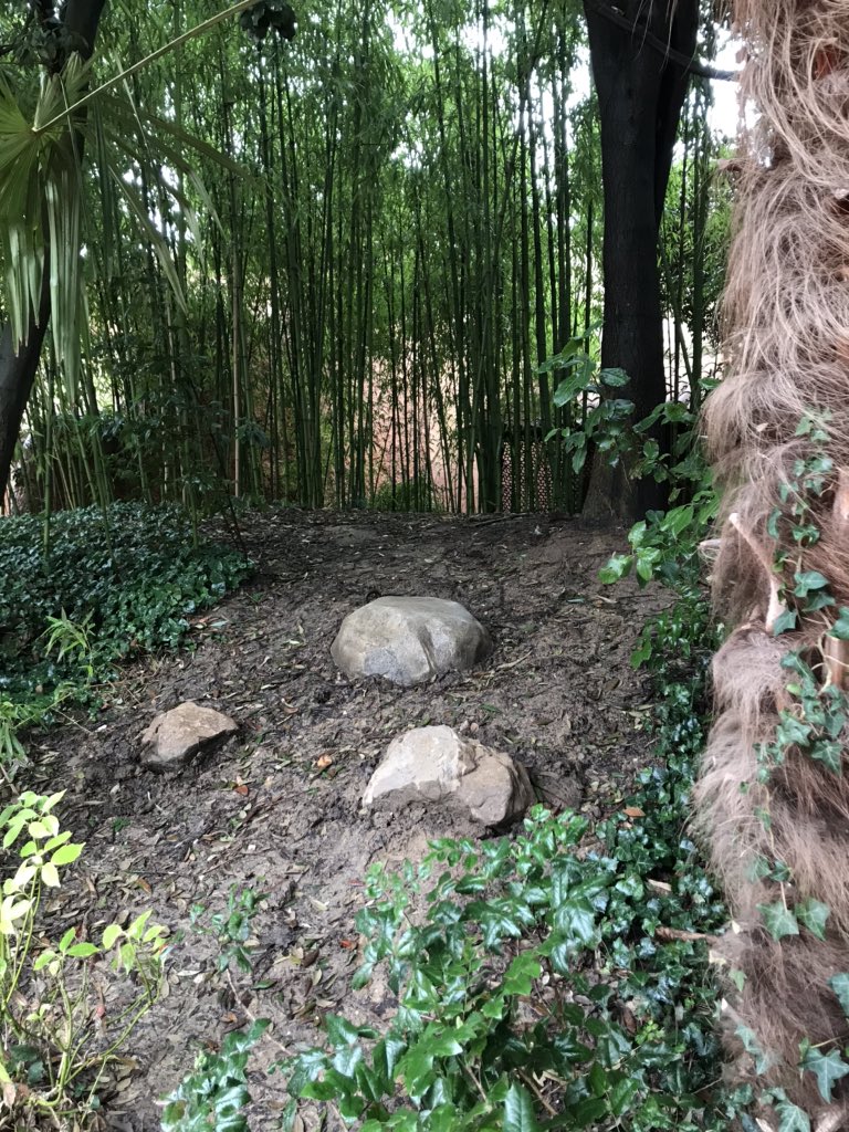 A Fake Rock in the Bamboos on the Left Side of Fuente del Oro Restaurant