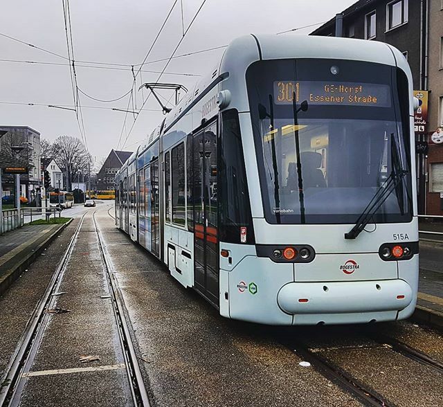 Tw 515 als Linie 301 während seiner Wende an der Endhaltestelle Essener Str. in GE-Horst

#bogestra #variobahn #BGS515 #gelsenkirchen #gehorst #tram #strassenbahn #straßenbahn #tramway  #stadler #endstelle #terminalstop #трамвай #гелзенкирхен #ruhrgebiet… ift.tt/2sRyc9B