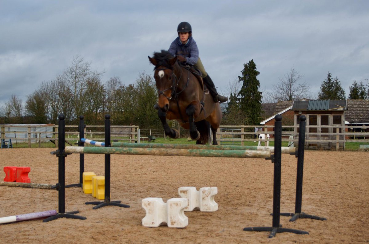 VetGoneEventing's tweet photo. Dressage pony loves to jump too! #ping 🙂 maybe we should go SJ too 🤔 #Andalucian #Yumove #ActiveJoint https://t.co/QHvqX0a0BI