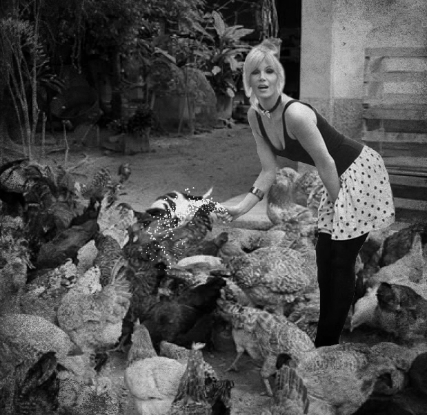 Susana Gimenez working at a chicken farm, 1964
#HistoricalPics