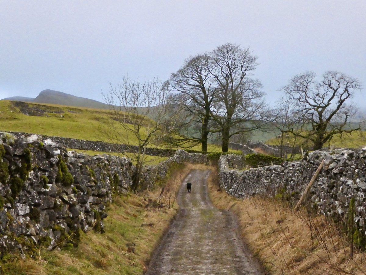 FriendsDales's tweet photo. A Sunday morning stroll into Stainforth. https://t.co/0Ba5FNDOsH