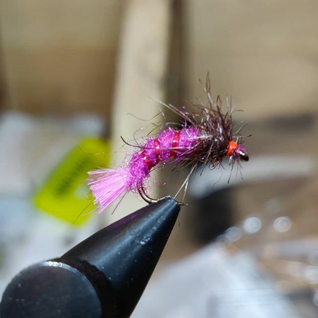MFlycraft's tweet photo. Wee lead grayling scruffer. Not much to it but a deadly wee pattern fished deep. Nice salmon egg/bloodworm imitation
#salmonflies #salmonfishingscotland #salmonflyfishing #thetugisthedrug #flytyingjunkie #flytyingart #steelheadflies #flytying #flyfishin… https://t.co/wGKYFXG0KS https://t.co/WncX6bUXn5