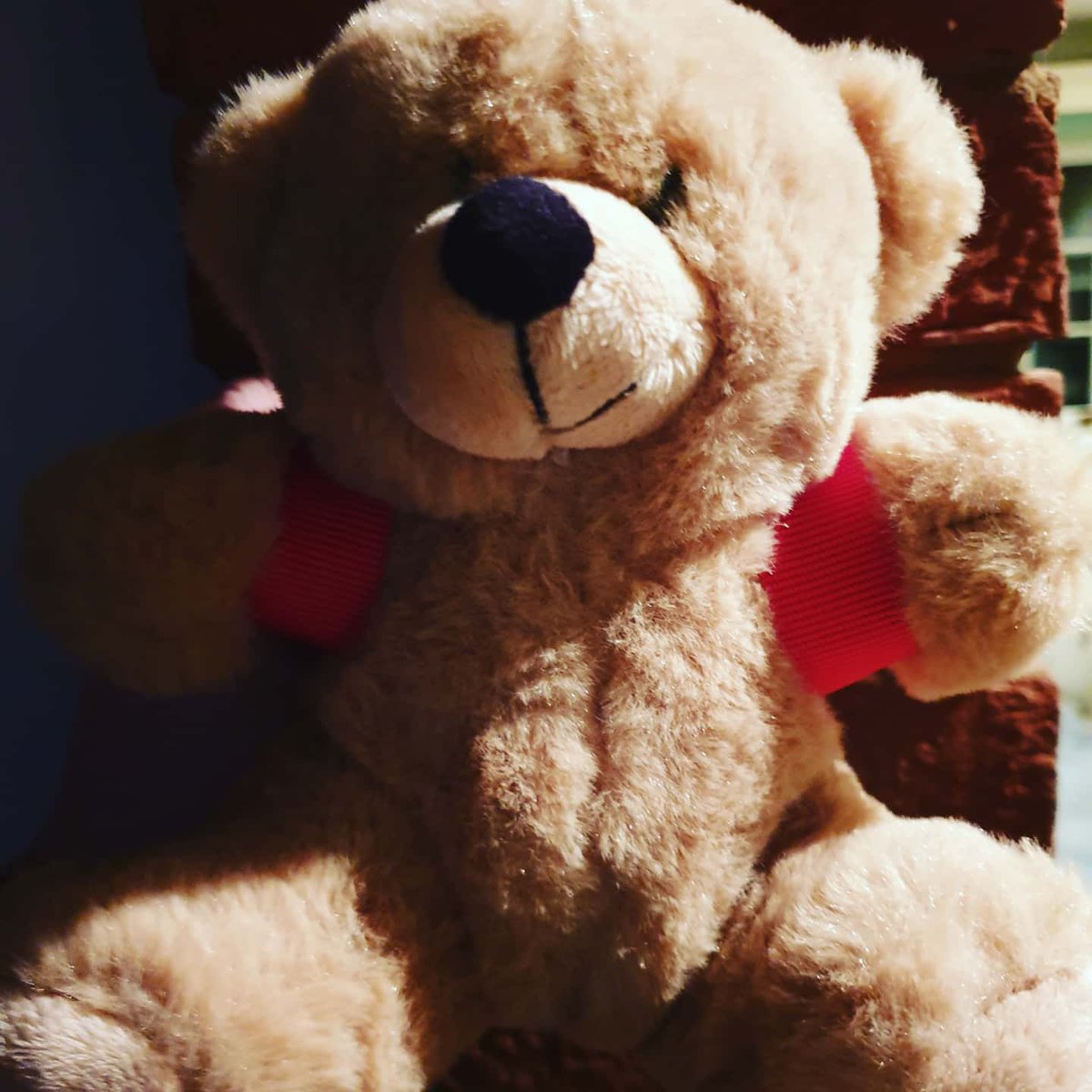 We hope you all had a great Xmas and are wishing you all an even better new year!

We treated ourselves to a new BooBuddy EMF bear for Xmas, how generous of us!!

We were looking for a name, <a href="/BigFatDanStacey/">Dan Stacey</a> has suggested Zak Beargans... What do we think people?? <a href="/Zak_Bagans/">Zak Bagans 🧛🏻‍♂️</a>