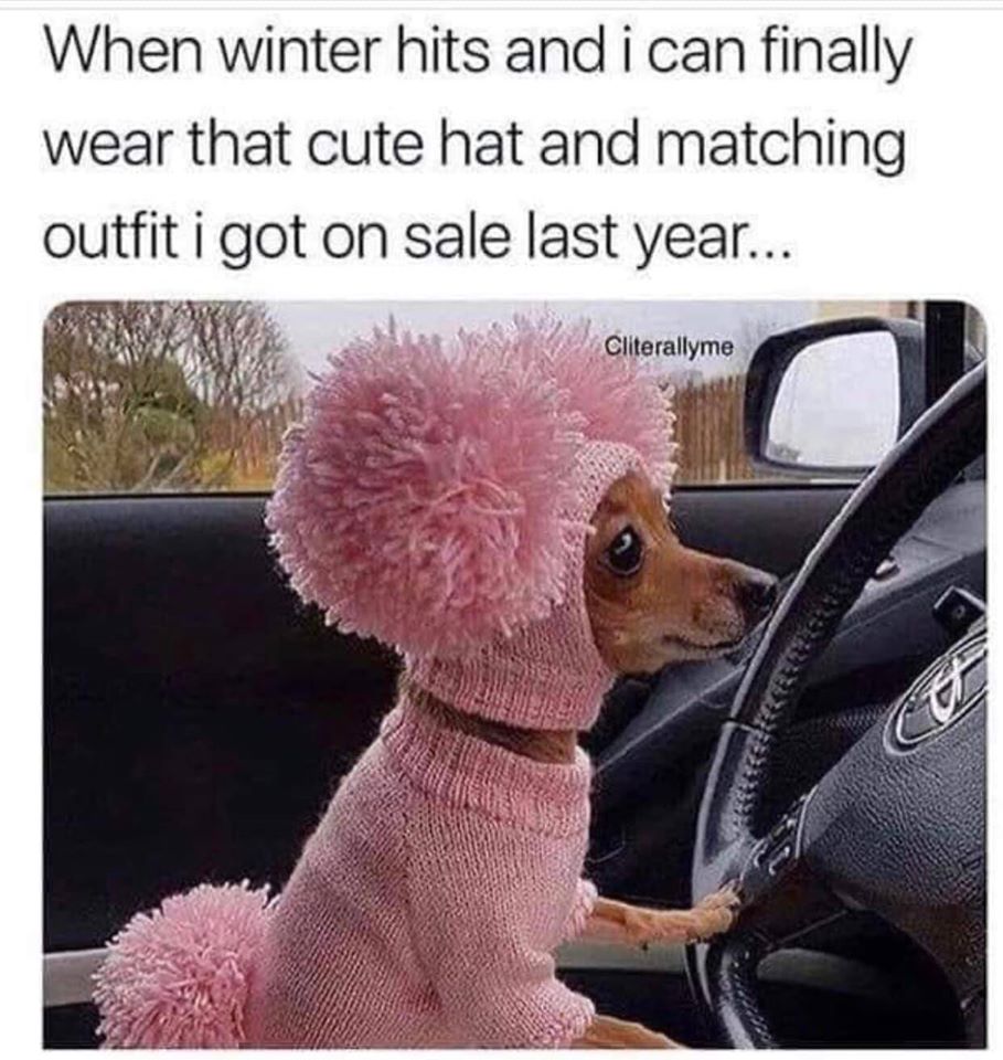 WoofMagazineNE's tweet photo. 😂🐶😂🐶

We’re having fun over here —->@WoofMagazineofficial
#WoofWorthy #WoofMagazineNE #Pets #ProjectPawsitive #ilovemydog #doglover #love #shelterdog #dogsrule https://t.co/WLb5k9zAml