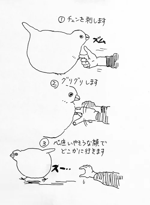 フサみを楽しもう! 