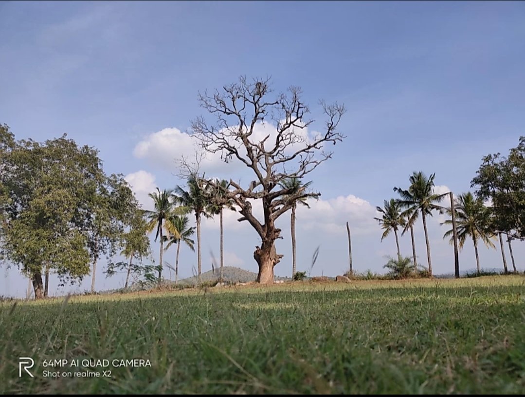 kummar_tapan's tweet photo. Shoot on #RealmeX2 #64mpperformancexpert @realmemobiles @FrancisRealme @MadhavSheth1 @stufflistings @ishanagarwal24 #realmex50 #RealmeX2Pro https://t.co/LU669lPSFN