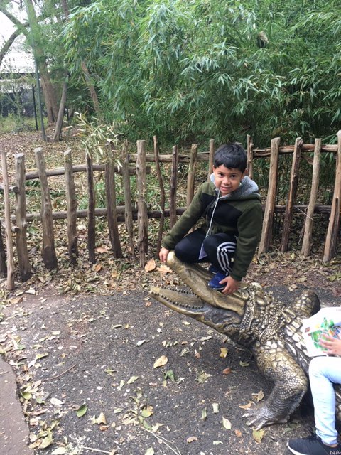 MrsGarlandThomp's tweet photo. More cutie pics from our zoo trip... https://t.co/SvEeoxp7zq