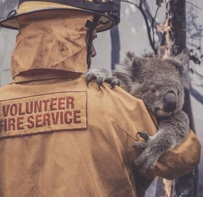 sindhal_rajesh's tweet photo. Heartbreaking. Gut wrenching.

Let us all take a minute and pray 🙏🇦🇺

#PrayForAustralia https://t.co/uqWA5sDEDe