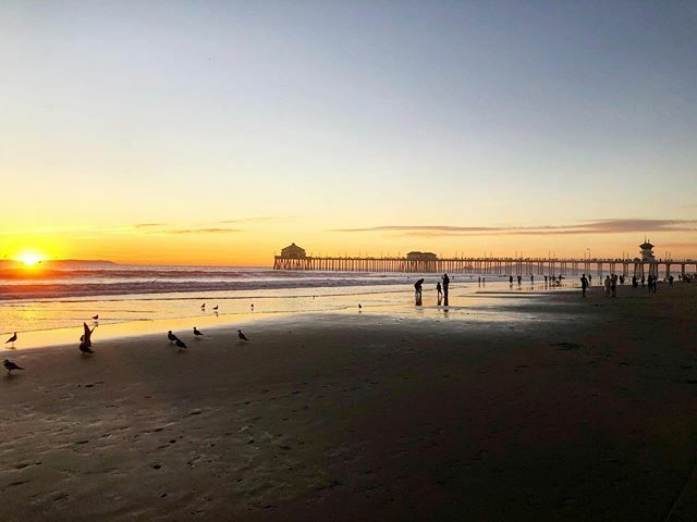 hwlun's tweet photo. Sunset in Huntington Beach ～
#Sunset #HuntingtonBeach #HuntingtonBeachPier #Surf #SurfCityUSA #Seagull #OrangeCounty #California #shotoniphone #iphonex #20191231 https://t.co/Ss9a7obgdM https://t.co/o7AfxBPwDO