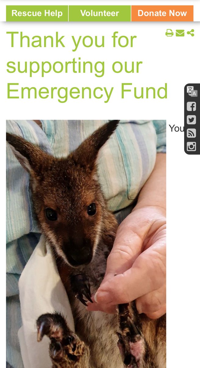itsuptome__'s tweet photo. #PrayForAustralia 🇦🇺
https://t.co/uAiD1wWNyW
https://t.co/A4c8MBO4pa https://t.co/PQI6sXqFM9