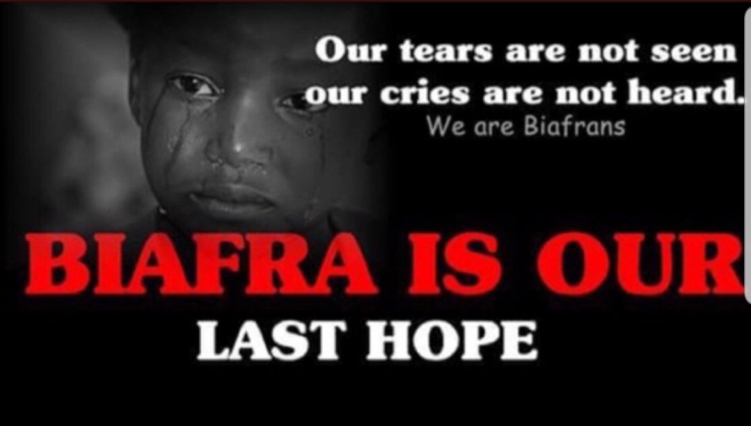 ATasteOfAfrica7's tweet photo. @realFFK To hell with zoo Igbo Presidency! All we want and need is a #FreeBiafra, because #BiafraIsNotOneWithNigeria #NigeriaIsNotOneWithBiafra #unitynobyforceisSlavery #UnityNoBeByForceNigeria. We #BelieveInBiafra &amp; #SupportBiafraReferendum. #NoTORUGA #NoTo97vs5% https://t.co/fYwbWoWnMM