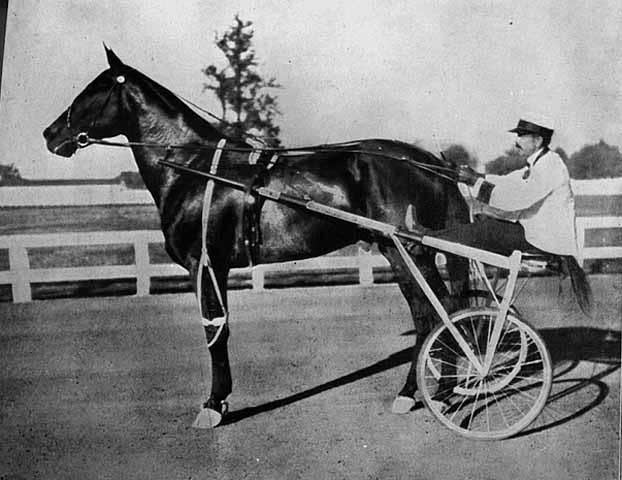 Picture of Dan Patch in 1905  was considered s most famous athlete at  turn of  20th Century His star racing career included a no-loss record In  he set a world record for  fastest mile by a harness horse which stood unmatched for over 30 years   tco y6Hl04caNn