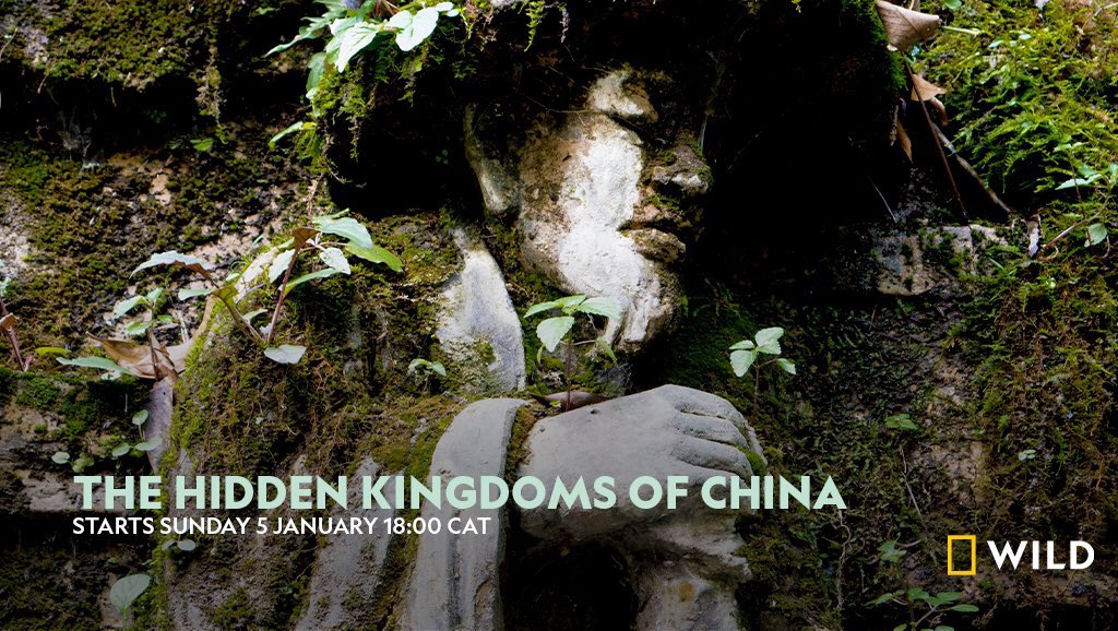 Don’t forget to catch China’s more than 500 species of mammal and it’s other unearthed natural gems on tonight on #TheHiddenKingdomsofChina