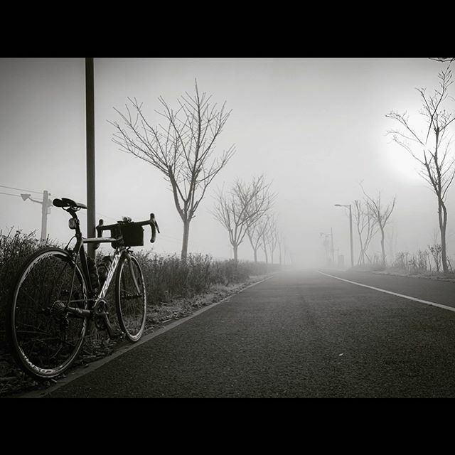 Silent Hill
-
One final photo from my recent big adventure that I just felt required a separate post, no trickery here or smoke and mirrors if you prefer - It really was this foggy, damn cold and crazy spooky! Cars and people appeared out of nowhere, las… ift.tt/2ZQC2vP