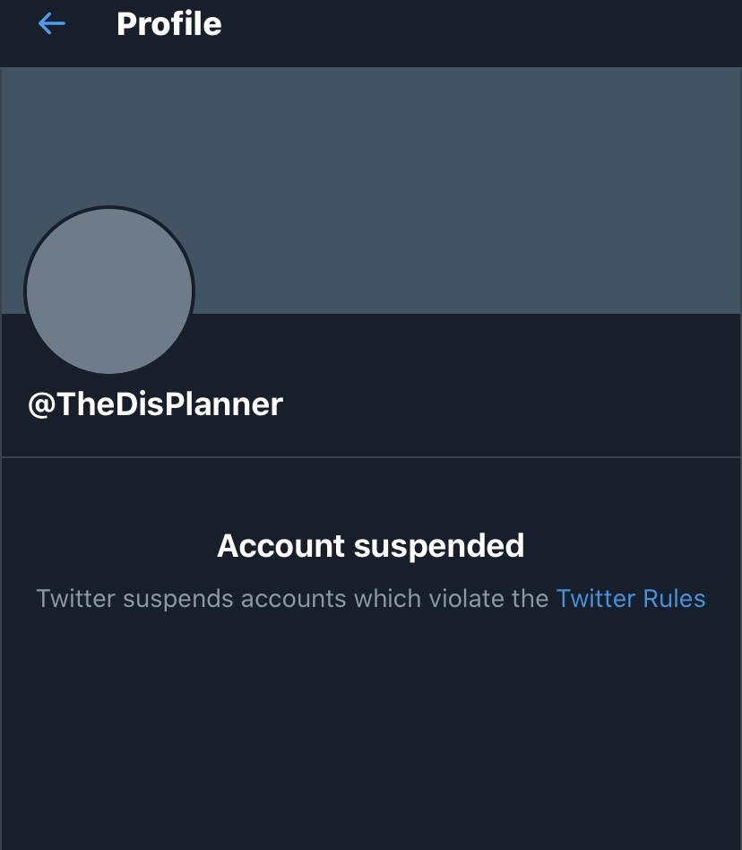 TheBiggestWDWFanEver tweet media