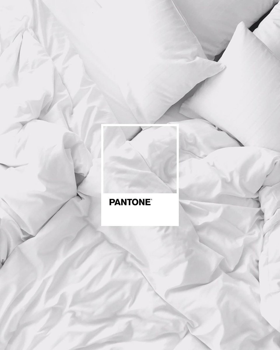 designmaodevaca's tweet photo. Pantone das manhãs de Domingo 😍#design #designer #dmv #art #creative #criativo https://t.co/YLfHUAC2LK