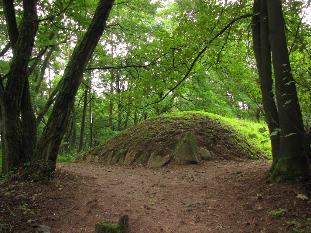 The Neolithic Long Barrows of Kuyavia, #Poland.
tinyurl.com/wd33ba6