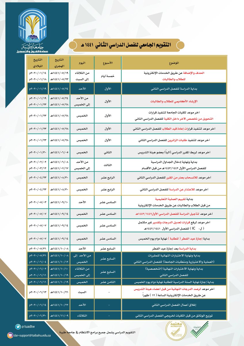 طيبة تخصصات جامعة نسب التخصصات