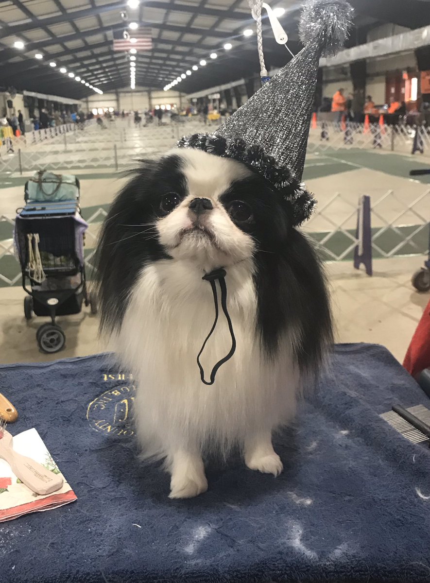 Trance says “Happy New Year!”