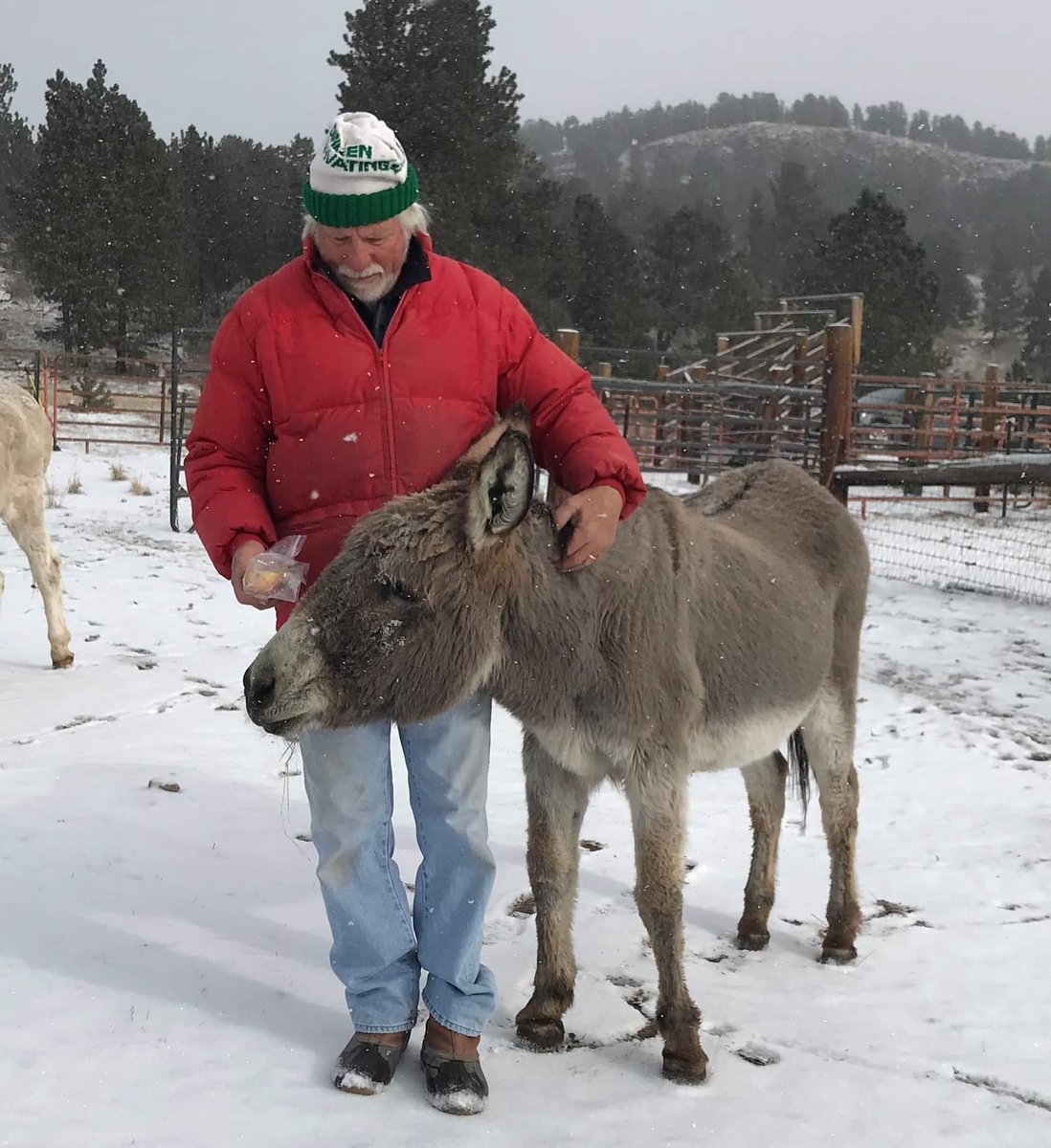 CCDonkeys's tweet photo. We share, sadly, that we lost Jenny, our 40 year donkey on Jan 4th. We let her go after a recent illness took over and she could not recover. She was surrounded with loving members of our club when she passed. Jenny brought smiles to thousands. @NewsPikesPeak @TCRAS @csgazette https://t.co/NONlc3YJyq