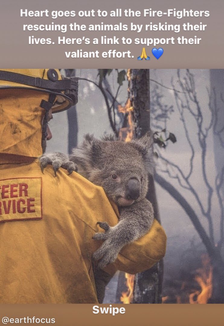 Half a billion animals have died in the Australian bush fire, immense damage has been inflicted. This is a cataclysmic tragedy of a scale unprecedented. Plz Donate, feel free to add more links.
AustraliaZoo WildlifeWarriors 
wildlifewarriors.org.au/donate/
NSW
rfs.nsw.gov.au/volunteer/supp…