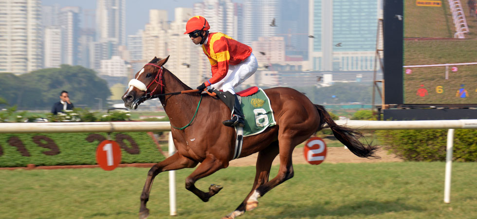 The Homai and Nusly Pudumjee Million
FLYING VISIT 🐴